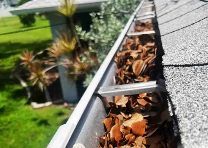 Chastain Park gutter cleaning home page